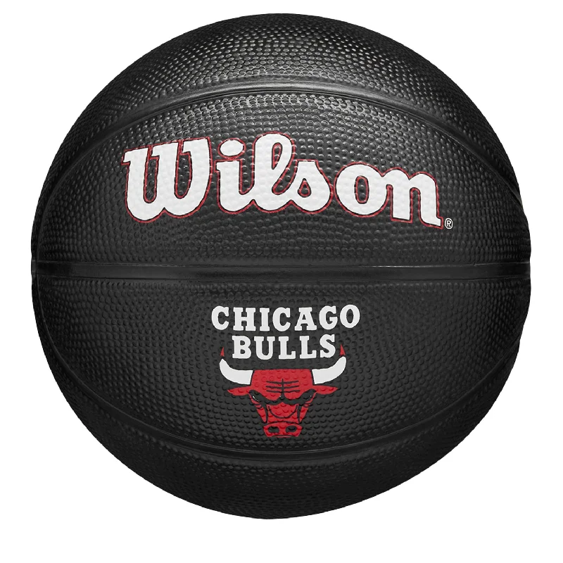 Chicago Bulls Team Mini All-Black Basketball